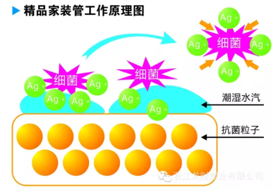 龍財精品家裝PPR抗菌管