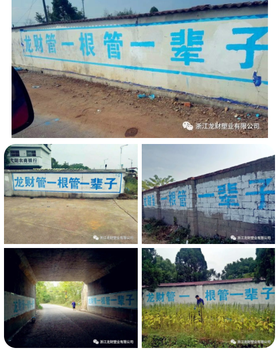 龍財管道2017龍財之踐行 龍財人在行動---品牌推廣篇