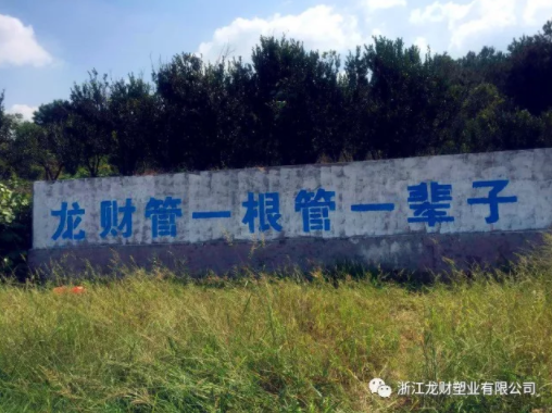 龍財管道2017龍財之踐行 龍財人在行動---品牌推廣篇