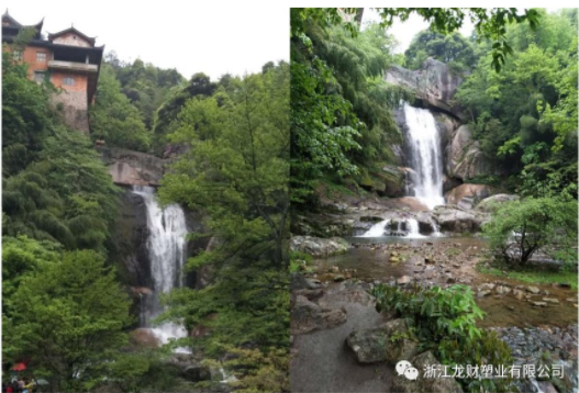 陽光行.快樂游 游天臺山 龍財集團（籌） 2018 年全體員工春游活動