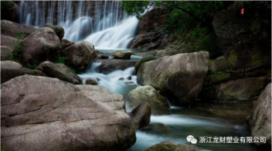 陽光行.快樂游 游天臺山 龍財集團（籌） 2018 年全體員工春游活動