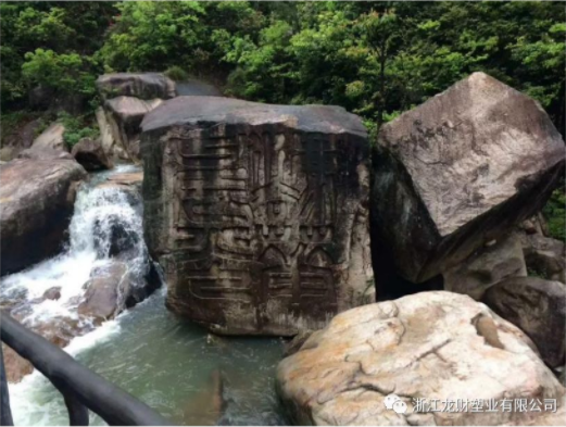 陽光行.快樂游 游天臺山 龍財集團（籌） 2018 年全體員工春游活動